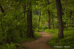 Windy trail in spring at Little Red Schoolhouse Nature preserve